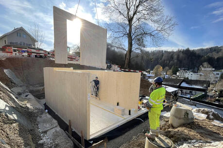 Bau eines Kellers aus Holz