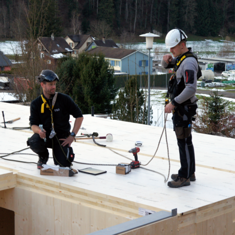 Timbase Career Internship